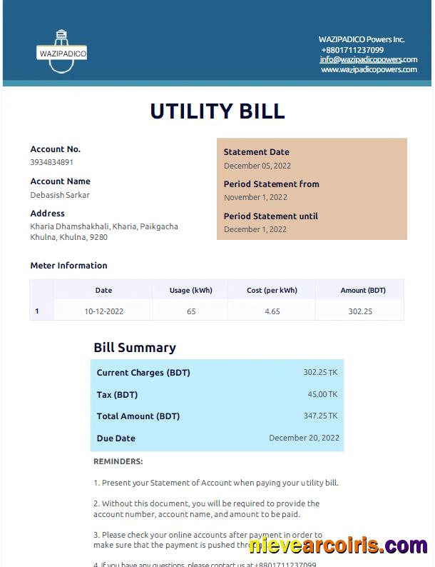 BANGLADESH WAZIPADICO POWER utility bill
